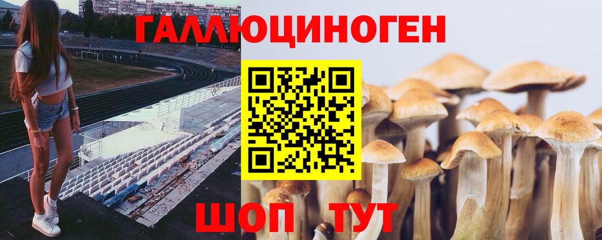 Галлюциногенные грибы Magic Shrooms Канаш